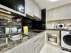 Austville Residences (D19), Condominium #485538101